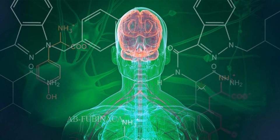 The wide-ranging potential of cannabinoids