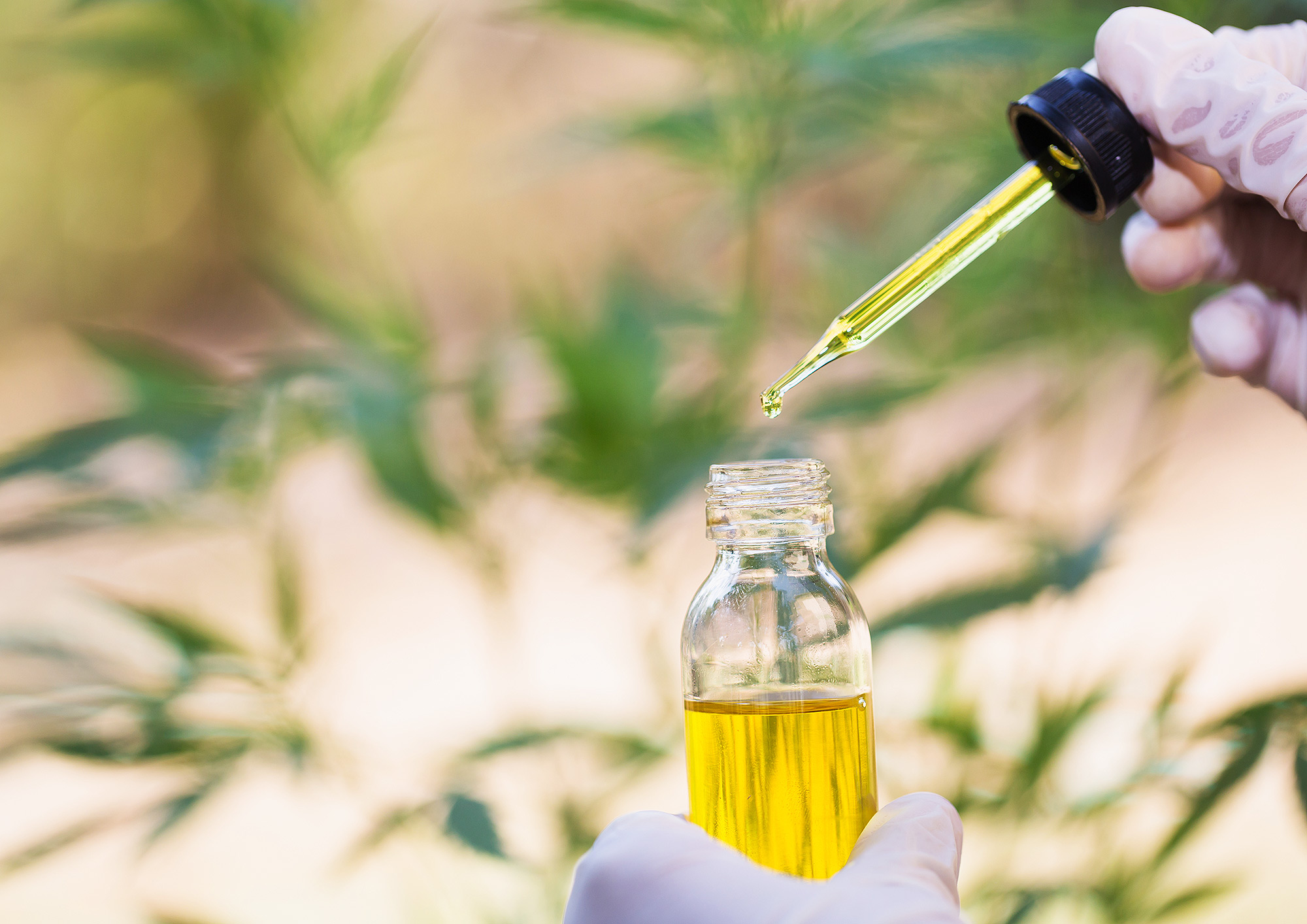 The CBD Gold rush has begun